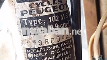 xe Peugeot 102 Citi đời 1968