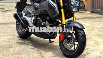 Honda MSX125 125cc Xám