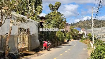 "Đất Mặt Tiền Đường Đa Phú, Phường Lang Biang - Đà Lạt - Lâm Đồng