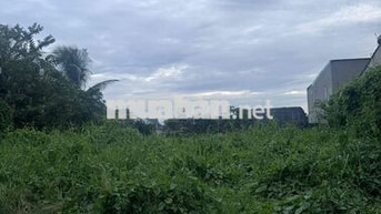 Đất 80m2 thổ cư hẻm xe hơi mua giữ tiền chỉ 2.5ty