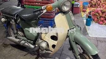 Honda Cub Xanh lá