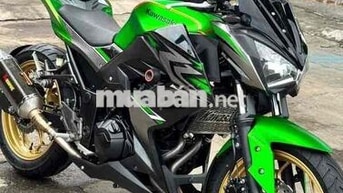 Kawasaki Z300 Xanh lá, Đen