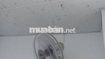 Cho thuê phòng sinh viên Quận 12