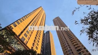 CHO THUÊ SHOPHOUSE SUNWAH PEARL  NGUYỄN HỮU CẢNH Q. Bình Thạnh Sát Q1
