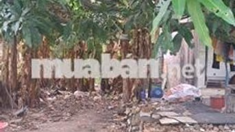 CẦN BÁN ĐẤT SỔ ĐỎ RIÊNG HÓC MÔN