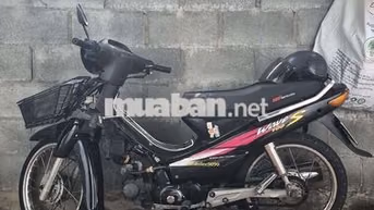 xe đi làm máy nhật