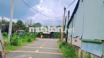 Bán Vườn MÍt tròn 300m2 sẵn 100tc,cách KCN ANnova chỉ 2km giá: 600tr