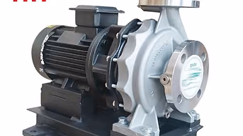 Hướng Dẫn Chọn Mua Bơm Trục Ngang Đầu Inox Bền Bỉ, Hiệu Quả
