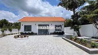 Nhà vườn Thái Mỹ 617m2 (26x21 )sổ hồng riêng giá 1ty5