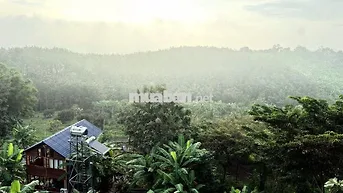 🌿 LA NGÀ – 1.200m² ĐẤT VƯỜN GẦN HỒ TRỊ AN, CHỈ 500 TRIỆU - HT BANK