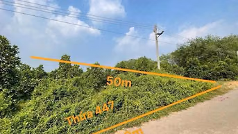 Công ty Đấu giá hợp danh Lam Sơn Sài Gòn THÔNG BÁO ĐẤU GIÁ TÀI SẢN