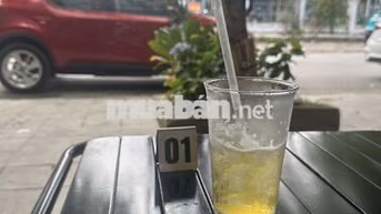 VinFast VF 5 Plus 2025 Đỏ 35000 km