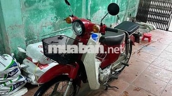 Honda Cup 50 Espero Đỏ