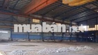 xưởng 1800 m giá 100 tr đường container 40f vào 24/24 Bình Chánh