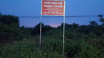Công ty Đấu giá hợp danh Lam Sơn Sài Gòn THÔNG BÁO ĐẤU GIÁ TÀI SẢN