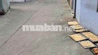 Cho thuê nhà nguyên căn 6 triệu Đường Lê Quang Định
