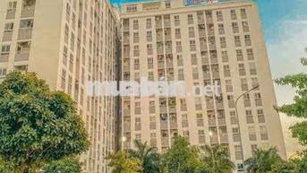 Bán căn hộ Chung cư Phúc Đạt phường Phú Lợi Full Nội Thất Chỉ Từ 950TR