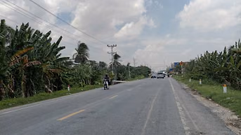 Bán đất lúa Đồng Tháp, mặt tiền Quốc Lộ 30. Ngang 12x70m