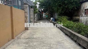 NHÀ LÊ VĂN KHƯƠNG - QUẬN 12 - KẾT NỐI - LÊ THỊ RIÊNG - NGUYỄN ẢNH THỦ