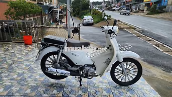 Cup 50cc 2022 Trắng bs 49