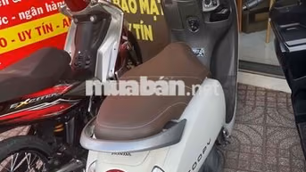 Honda Scoopy 2024 Trắng 10.000km