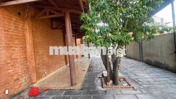 Cho Thuê Nhà Mặt Tiền Bũu Đoá Phước Long Nha Trang Đường Rộng 18m