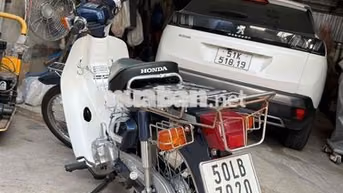 Honda Cub 50cc Trắng Xanh