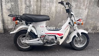 chaly 50 màu trắng