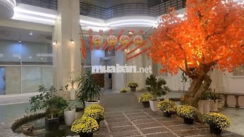 THUẬN VIỆT QUẬN 11 – 70M2 (2PN 2WC) TẦNG CAO VIEW ĐẸP  – GIÁ 12 TR/TH