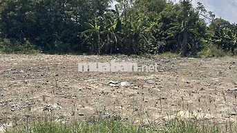 ĐẤT MỸ LỘC FO ƯU ĐÃI TRONG THÁNG