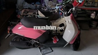 Honda Today 50cc Hồng Học sinh