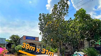 Công ty Đấu giá hợp danh Lam Sơn Sài Gòn thông báo đấu giá tài sản
