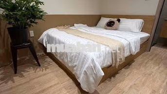 KHAI TRƯƠNG CĂN HỘ QUẬN 4 KẾ BẾN NHÀ RỒNG, CẦU MỐNG, PHỐ ĐI BỘ NG HUỆ