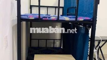 cho thuê giường tầng ký túc xá sinh viên đại học Tôn Đức Thắng