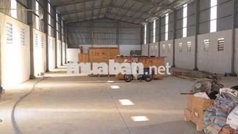 KHO XƯỞNG GIÁ TỐT ( 8 x 50m2 ) NGUYỄN HỮU TRÍ