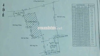 Chính chủ cần bán một mảnh đất 407m2 đất tại Vạn kiếp - Hồng Bàng