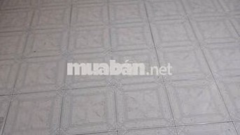 Phòng cho thuê lối đi chung, chung chủ