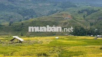 giá đinhg cho thuê nhà vươn sóc sơn , gần sân bay nội bài9 triêu