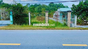 Đất rộng 10x43=436m2 SHR 1 tỷ Đường Nguyễn Văn Khạ cạnh KCN Tây Bắc