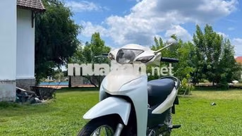 Honda Wave 2024 Trắng Đã sử dụng