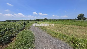 SIÊU RẺ ĐÚNG NHU CẦU THẬT 797M²CẠNH KCN ĐẤT ĐỎ CHỈ 1 TỶ