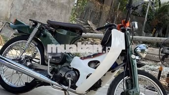 Honda Cub kiển Xanh, Trắng Carbon