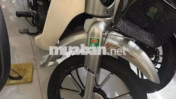 Cup 50cc Xám.Đời 2024