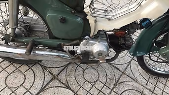 Honda Cub Xanh Lá