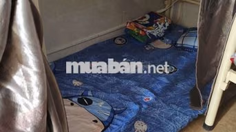 Trọ Nam ở Ghép Giường Tầng, Full Nội Thất,477 Âu Cơ,Trọn Gói 1tr1/tg