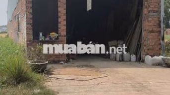 Bán Đất Đức Hòa Long An thổ cư 100% tặng xưởng xây full đất giá 1.8 tỉ