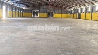 Cho thuê kho xưởng khu công nghiêp hiêp phước , kế Cảng hiêp phước 