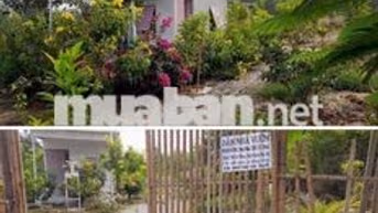 🔥 BÁN NHÀ VƯỜN DẦU TIẾNG 474,2M² – 150M² THỔ CƯ – SỔ RIÊNG