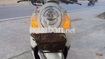 Honda Scoopy 110cc Tự động Trắng