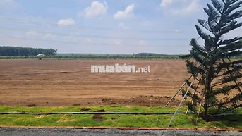 CHỈ 350 TRIỆU SỞ HỮU NGAY 1000m2 ĐẤT GẦN KCN BECAMEX CHƠN THÀNH